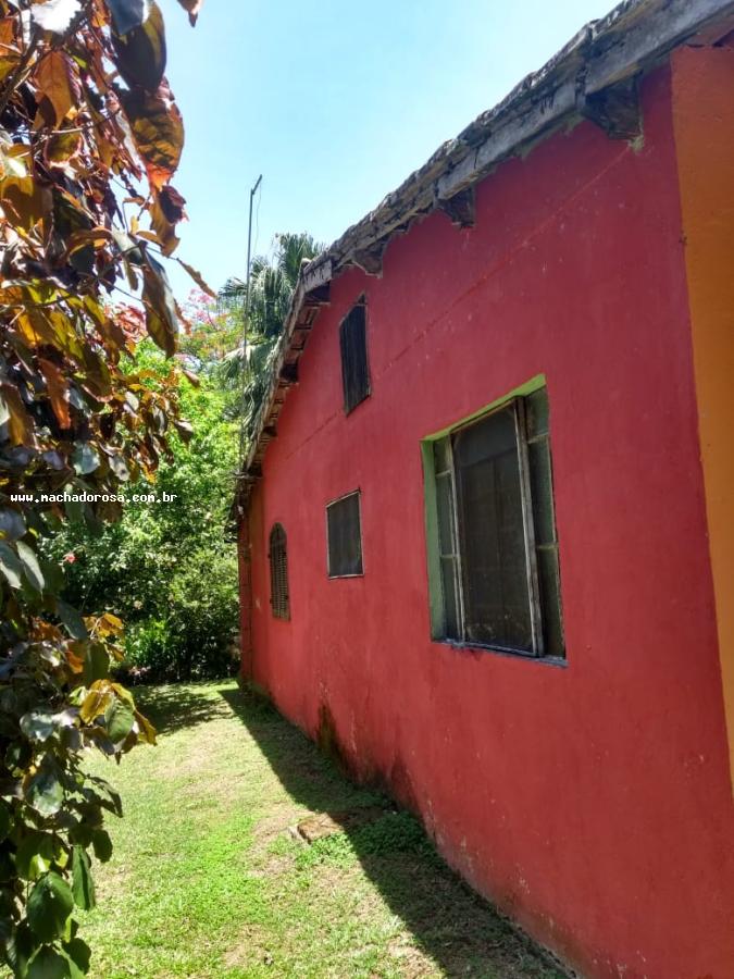 Chácara à venda com 2 quartos, 5300m² - Foto 5